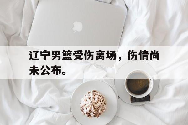 乐鱼-辽宁男篮受伤离场，伤情尚未公布。
