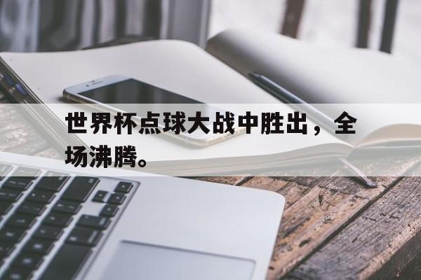 Leyu-世界杯点球大战中胜出，全场沸腾。