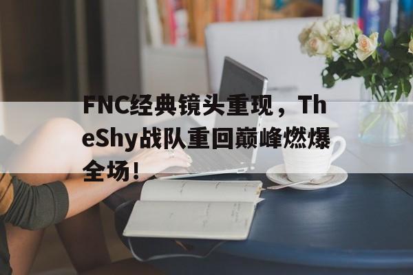 乐鱼-FNC经典镜头重现，TheShy战队重回巅峰燃爆全场！